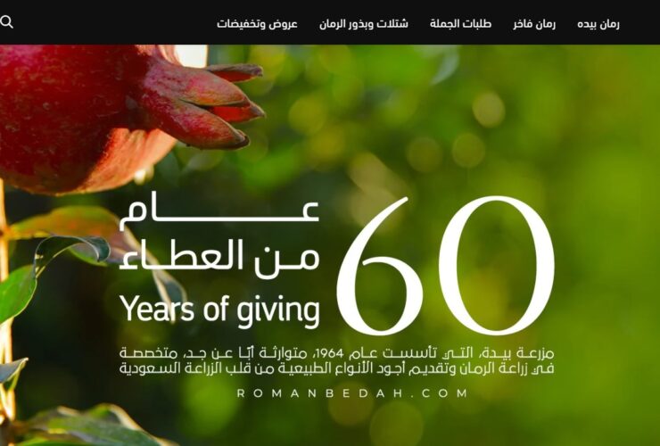 Al-Baha Pomegranates See Sales Surge Through Online Store Expansion Al-Baha Pomegranates See Sales Surge Through Online Store Expansion