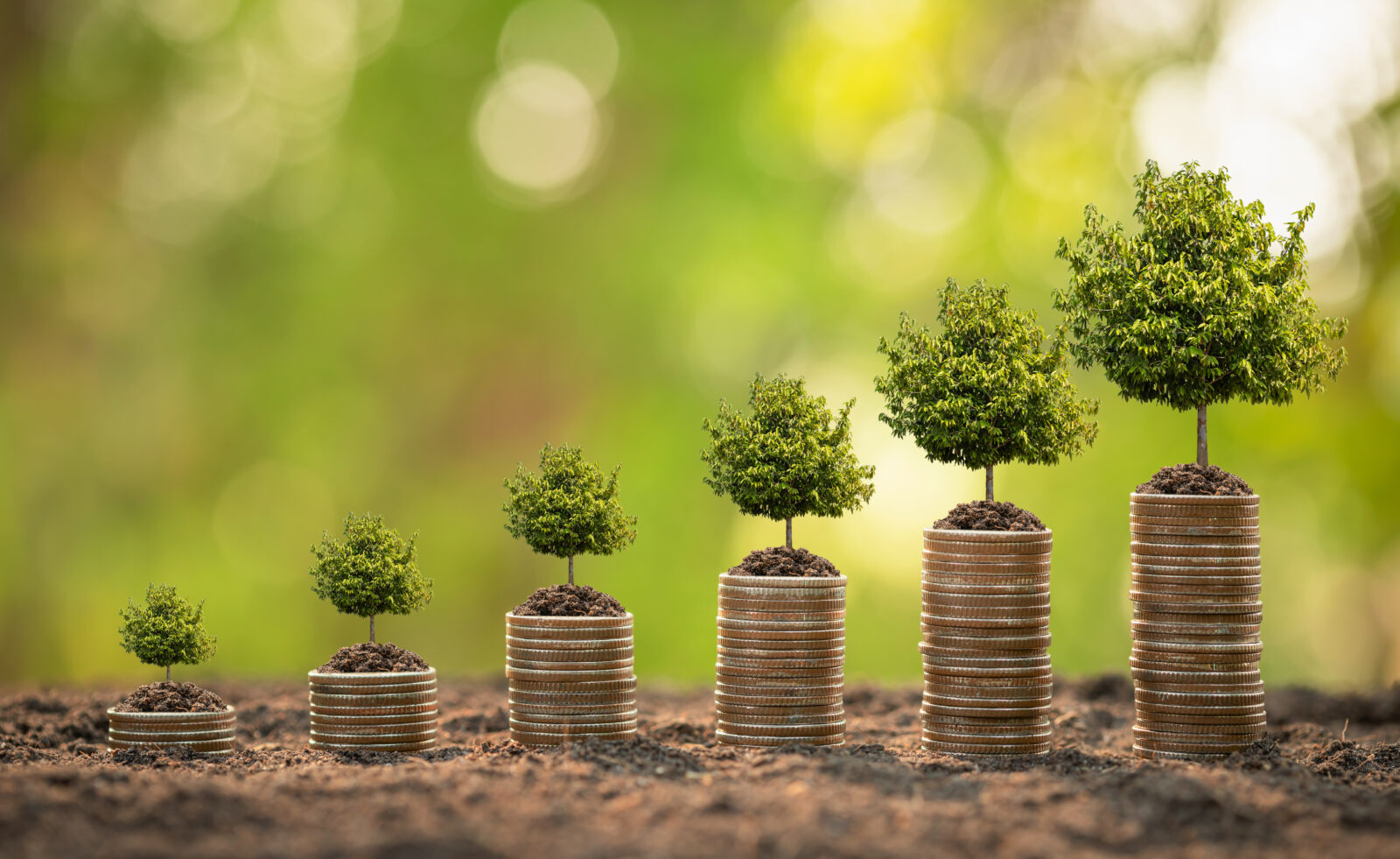 Fiserv Small Business Index: Cautious Spending in Oct 2025
